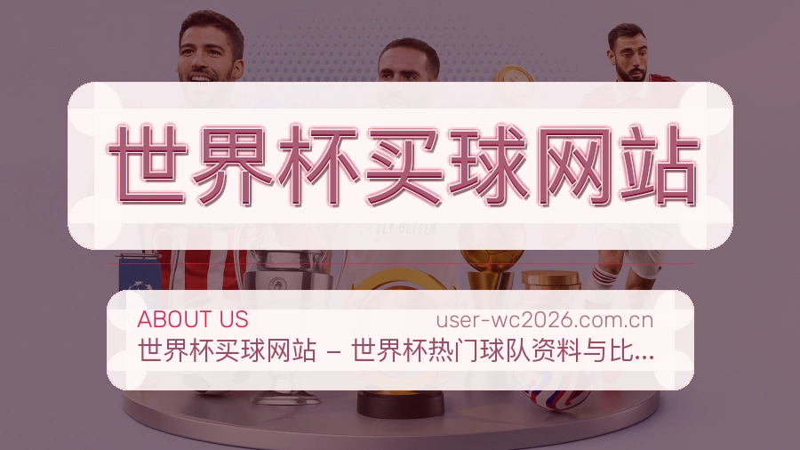 关于 世界杯买球网站